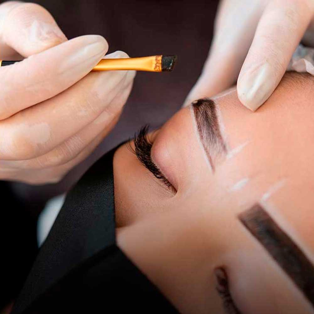 Brows Master Course